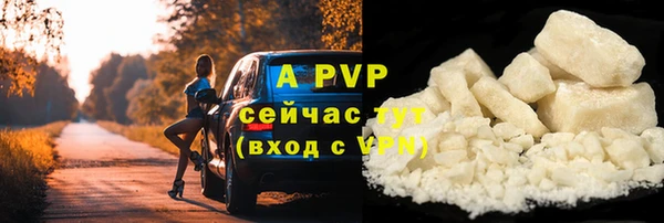 шишки Балабаново