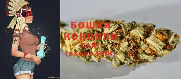 гашик Аркадак