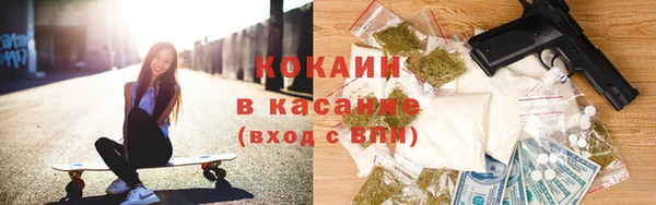 шишки Балабаново