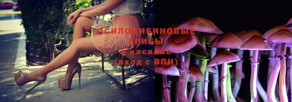 дмт Балахна