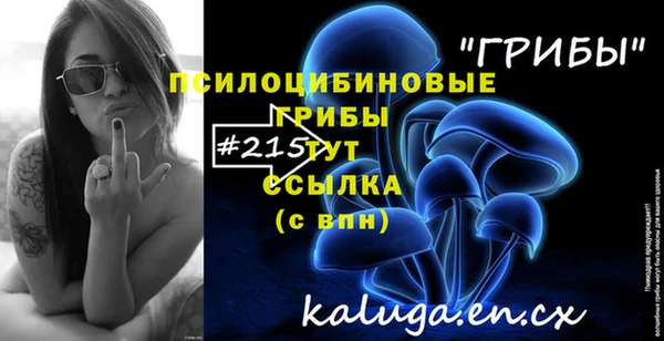 шишки Балабаново